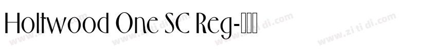 Holtwood One SC Reg字体转换